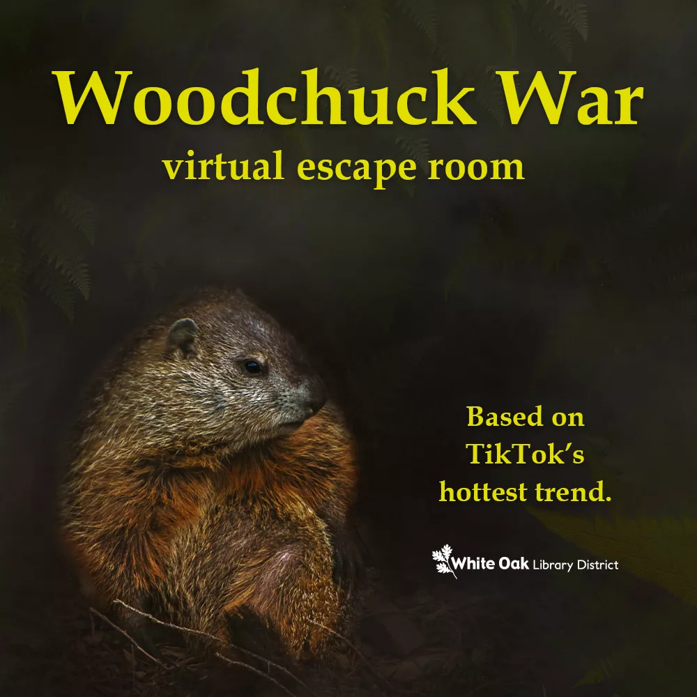 er_woodchuck_virtual_escape_room