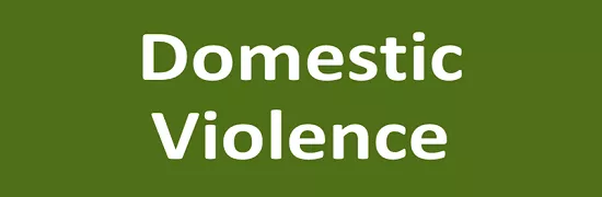 domestic_violence.png