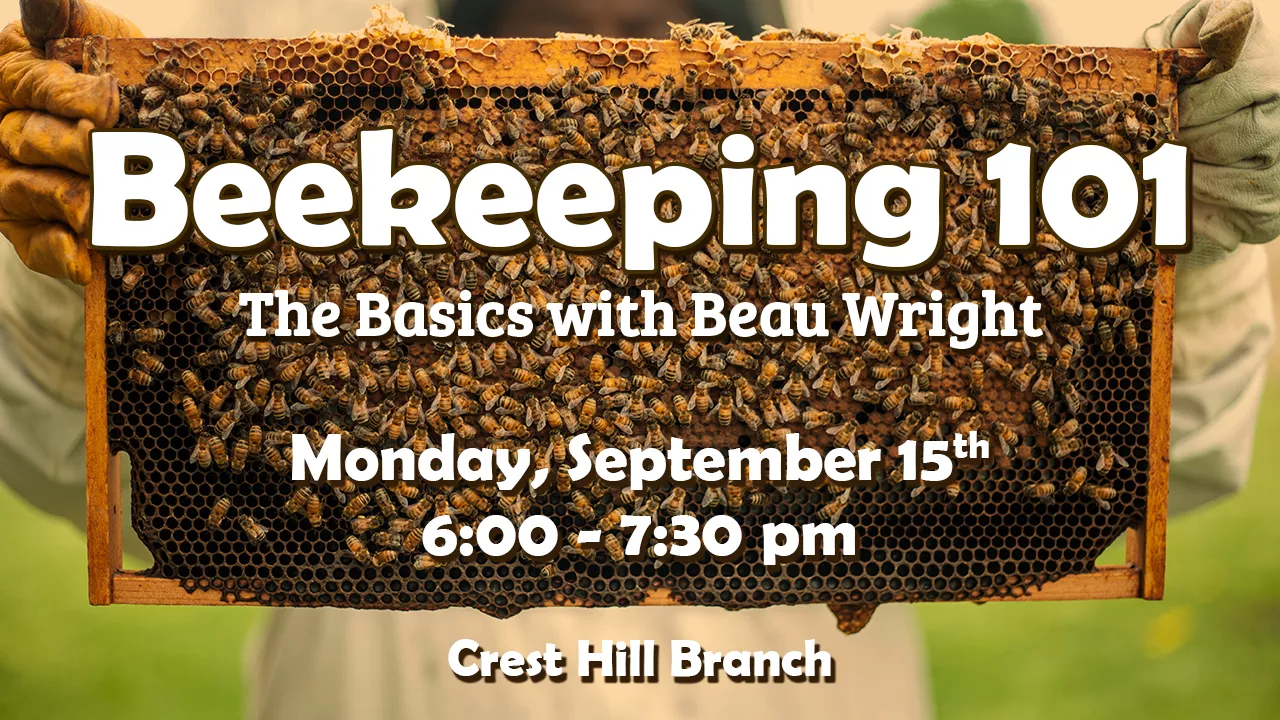 beekeeping 101