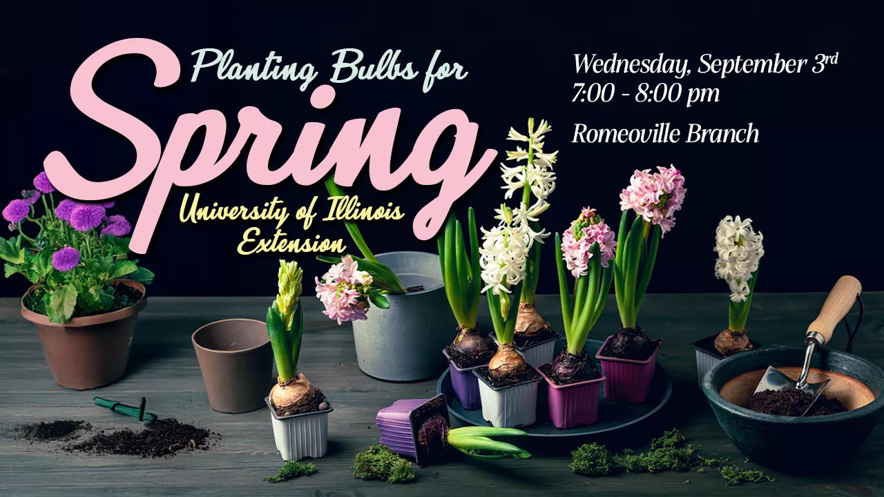 planting bulbs