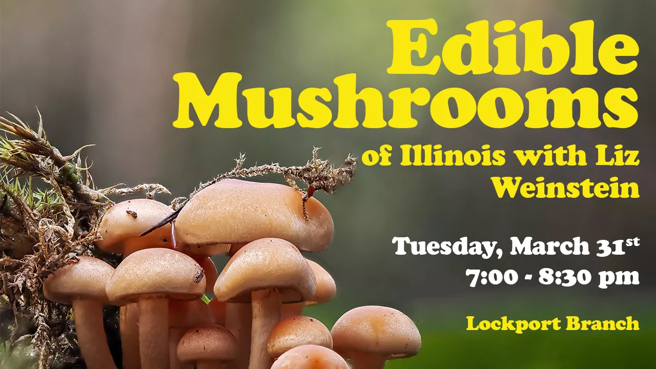 Edible Mushrooms Program