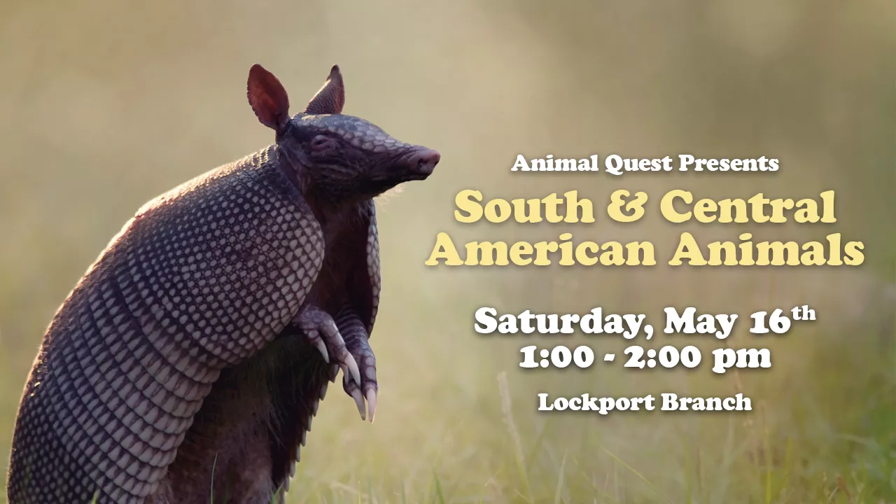 Animal Quest Program