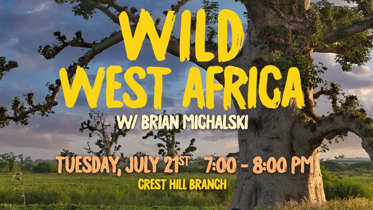 wild_africa_slider.png