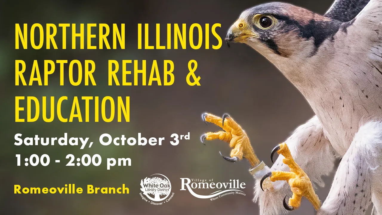 illinois_raptors_slider.png